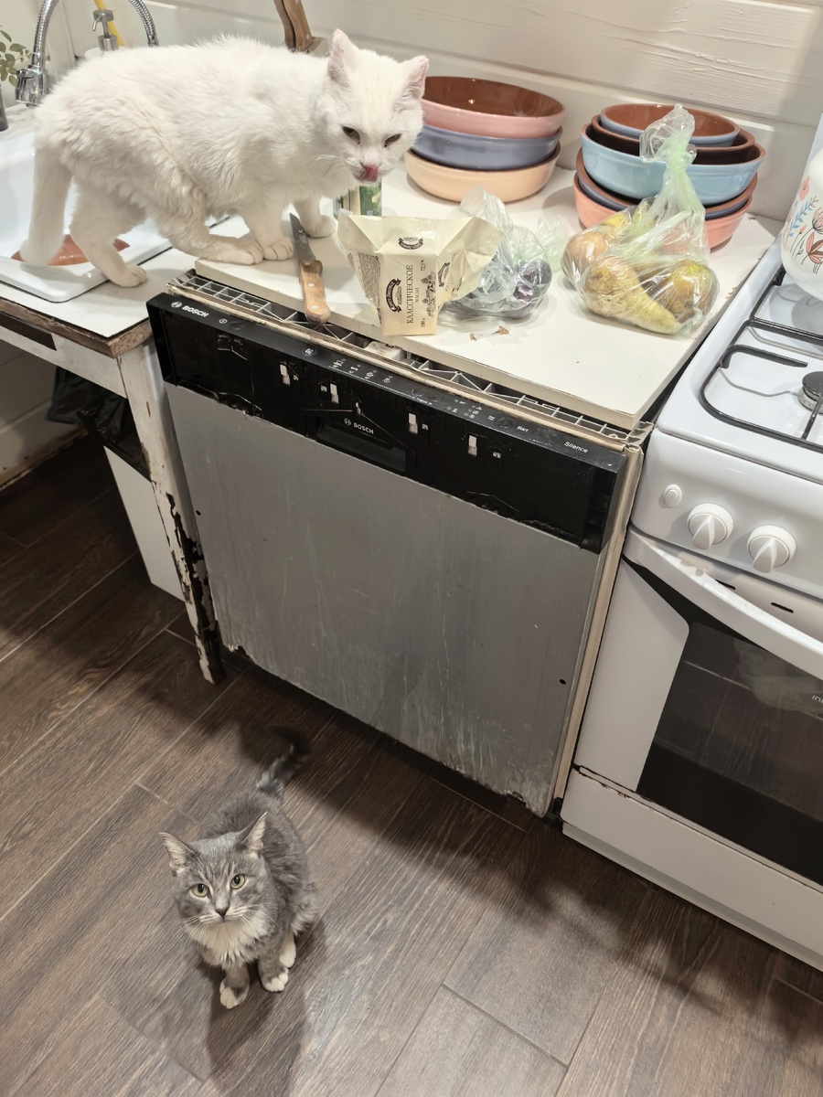 Снежок и Сеня