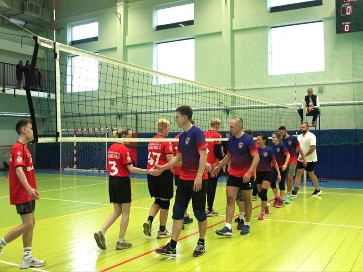     Фото: телеграм-канал администрации Выборгского района.