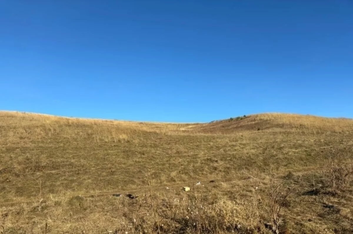    Не смог отбиться.