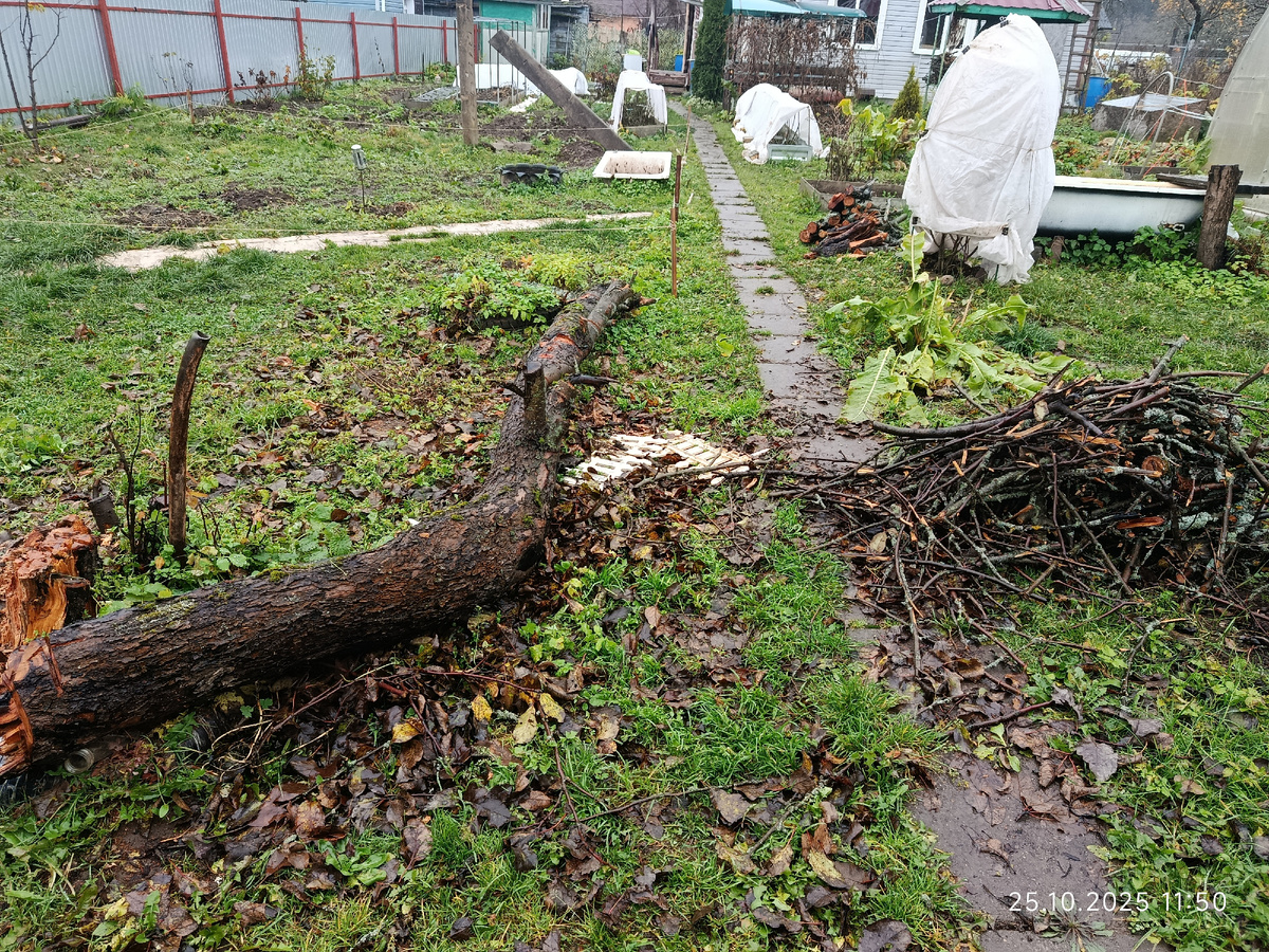 Весь наш участок. Справа ещё только две 4х метровые теплицы. Длина дома по фасаду - 10 метров, длина вглубь 5. На нас двоих оказалось ОЧЕНЬ много