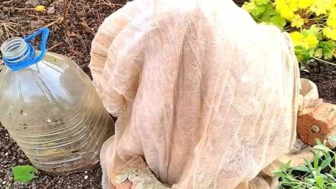 Различные типы мобильных укрытий в одном розарии