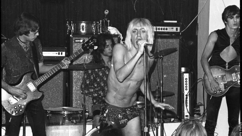    Игги Поп в The Stooges / film.ru