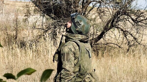    © Украина.ру / Игорь Гомольский