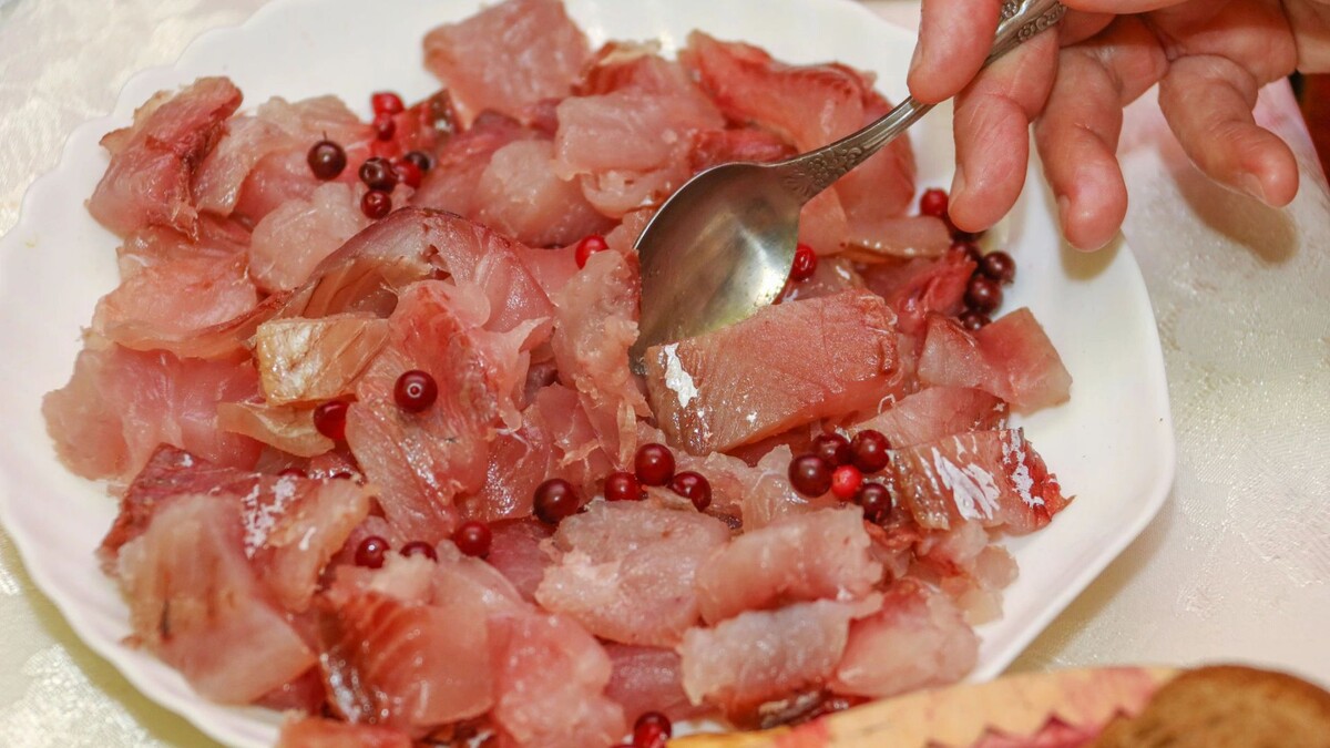    Фото: Василий Петров/«Ямал-Медиа»