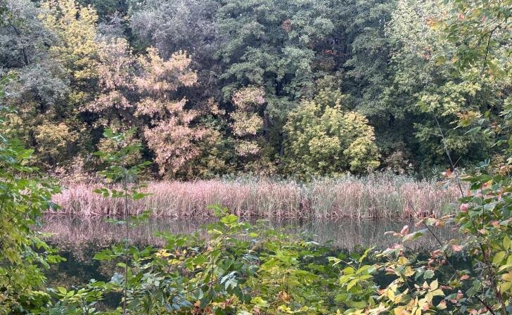    Источник фото: архив Курских известий