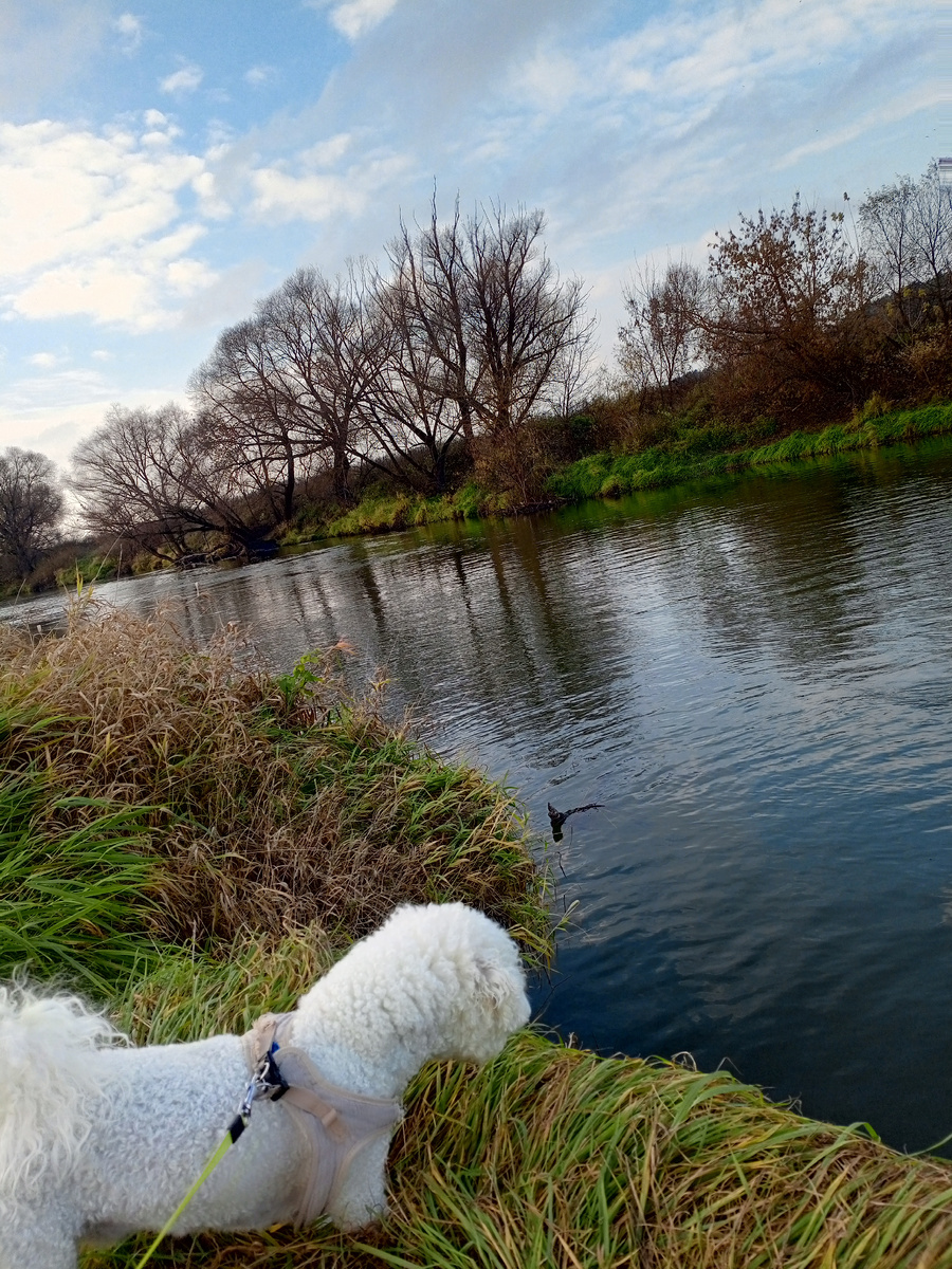 Каспер там всё время что то ищет...