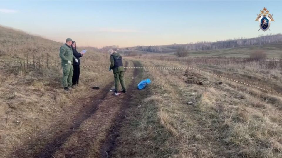    Место, где на ребенка напали собаки. Источник: t.me/krksledkom