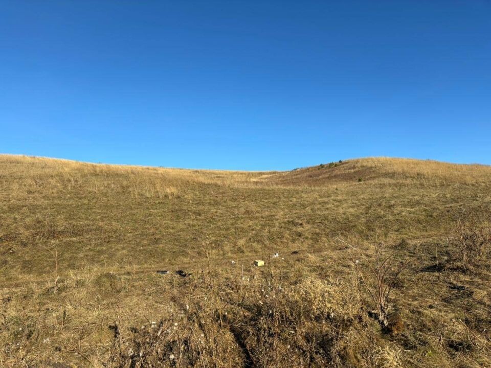    Место, где на ребенка напали собаки. Источник: t.me/krksledkom