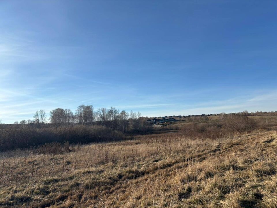    Место, где на ребенка напали собаки. Источник: t.me/krksledkom