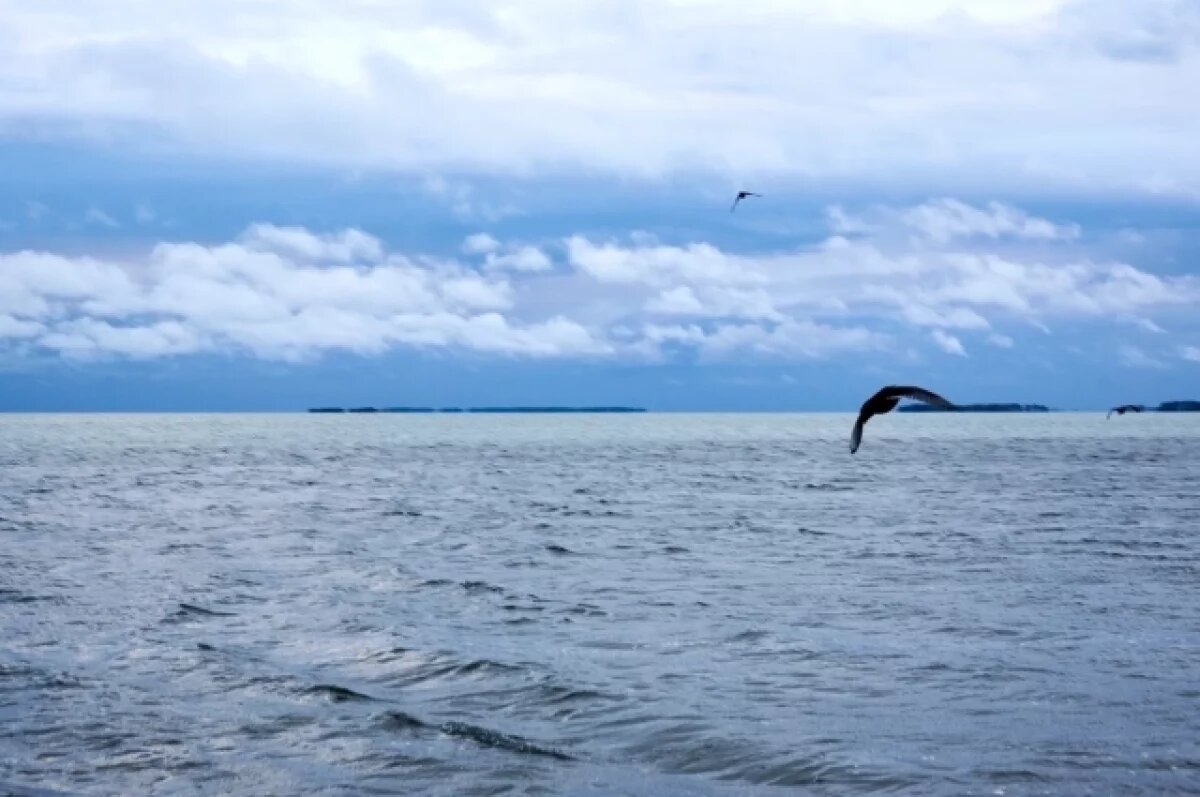    Тело пропавшего рыбака нашли в акватории Онежского озера