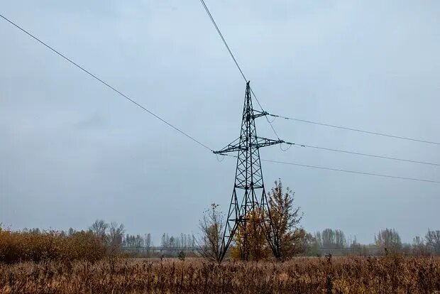    Фото: lenta.ru Мария Михайлова