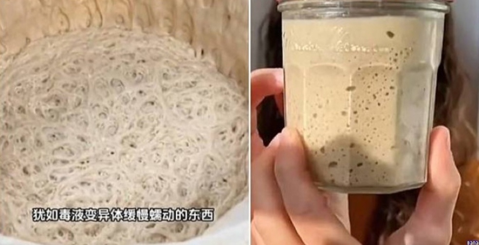 Фото находится в открытом доступе 