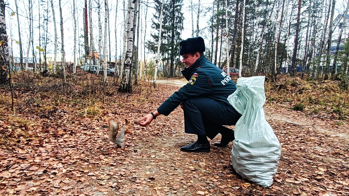    Спасатели Югорска помогли городским белкам подготовиться к зимовке