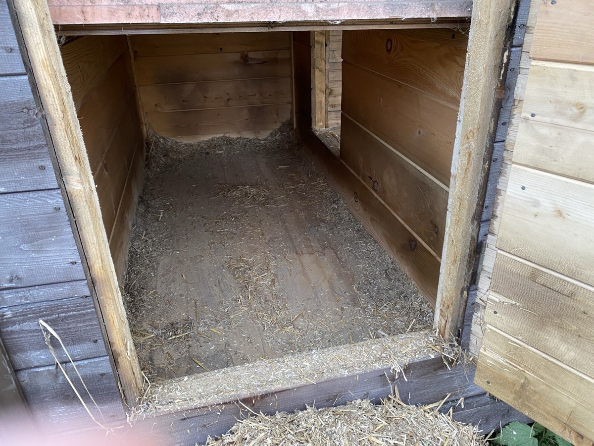 Старую солому пока свалила у двери, потом раскидаю на грядки