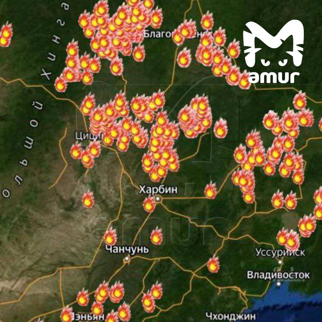    Фото: Telegram-канал «Amur Mash»