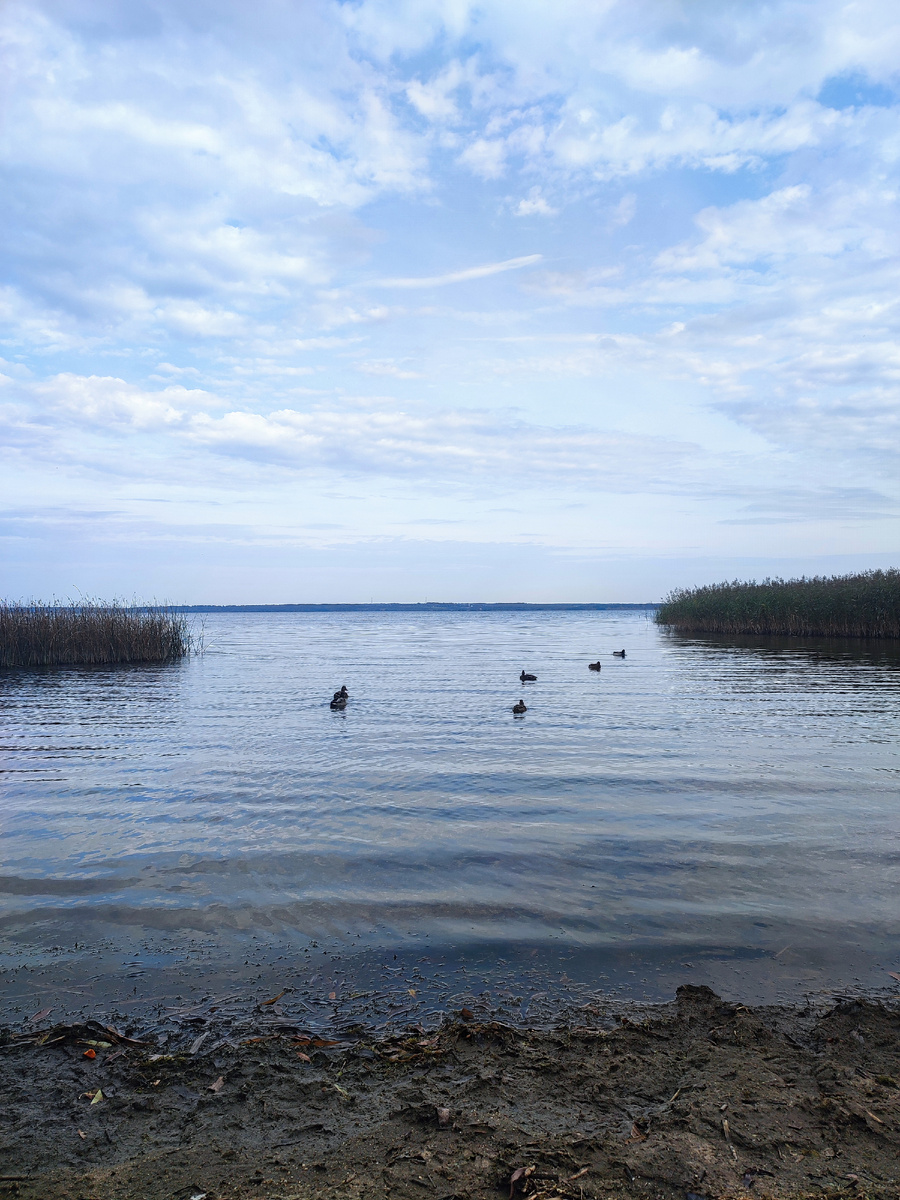 Вот оно какое, с илистым берегами.
