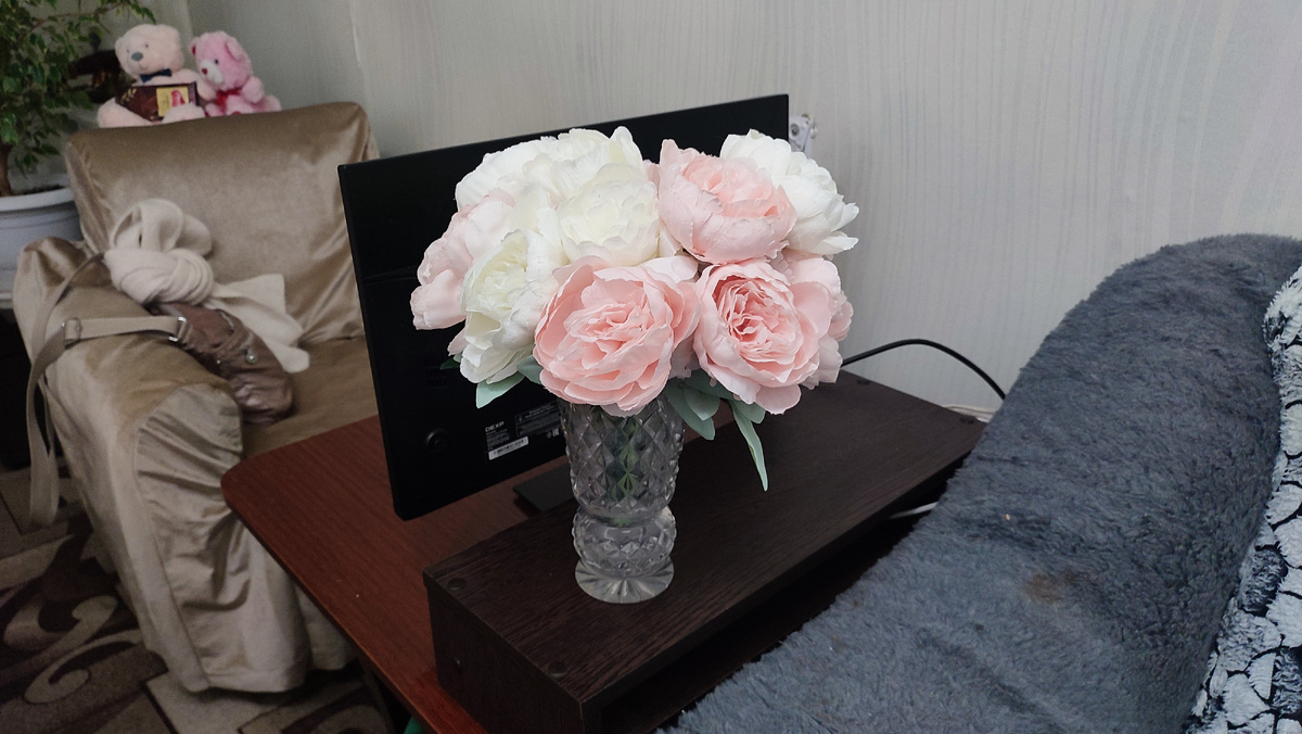 Новые интерьерные цветы от сестры