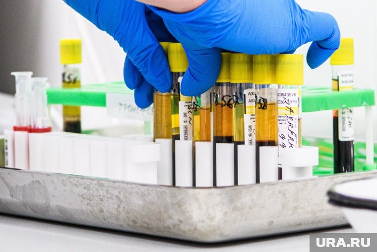     Наркокартели извлекают наркотики в нелегальных лабораториях в коммерческих районах, передает Bild