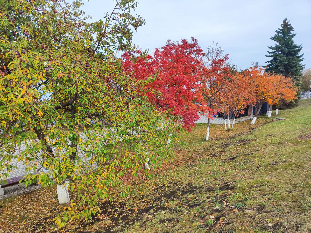 Фото автора.