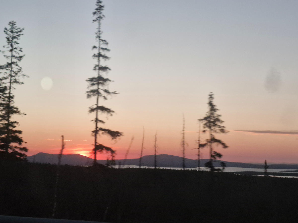 Из за стволов елей солнце то появлялось, то исчезало