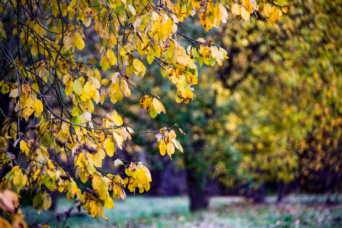 фото:Lantyukhov Sergey/news.ru/Global Look Press