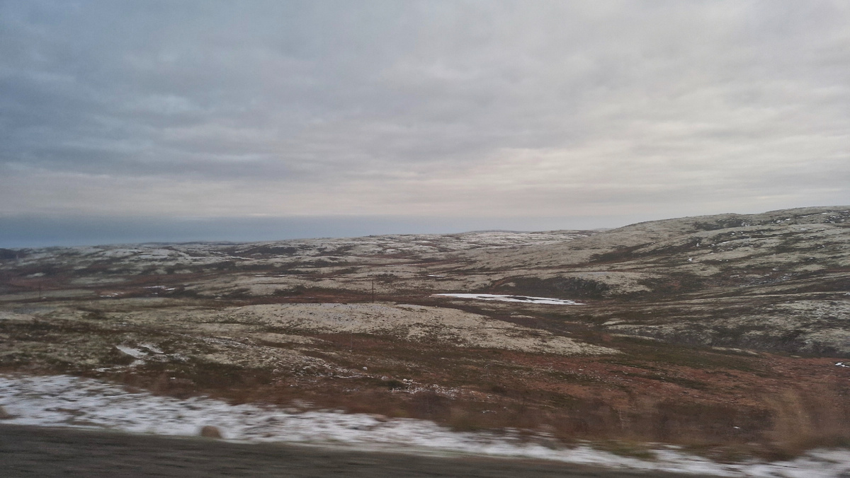 Ягель на сопках