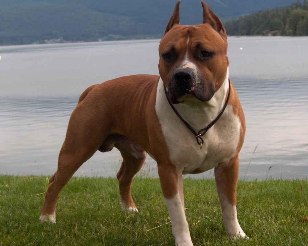 Фотография из интернета