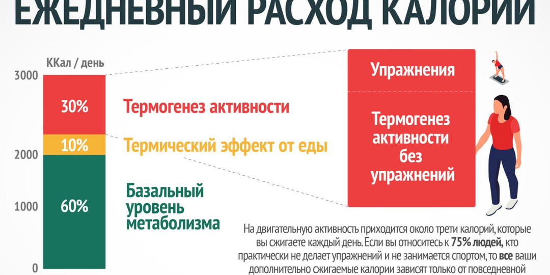Сколько калорий я трачу в день?