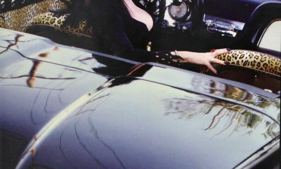 Олдскулы сводит: обзор фильма "Эльвира - повелительница тьмы"