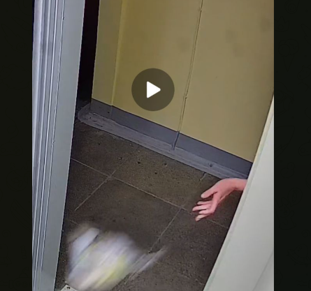    момент, когда неизвестный забрасывает в лифт горящий пакет / фото с камер наблюдения