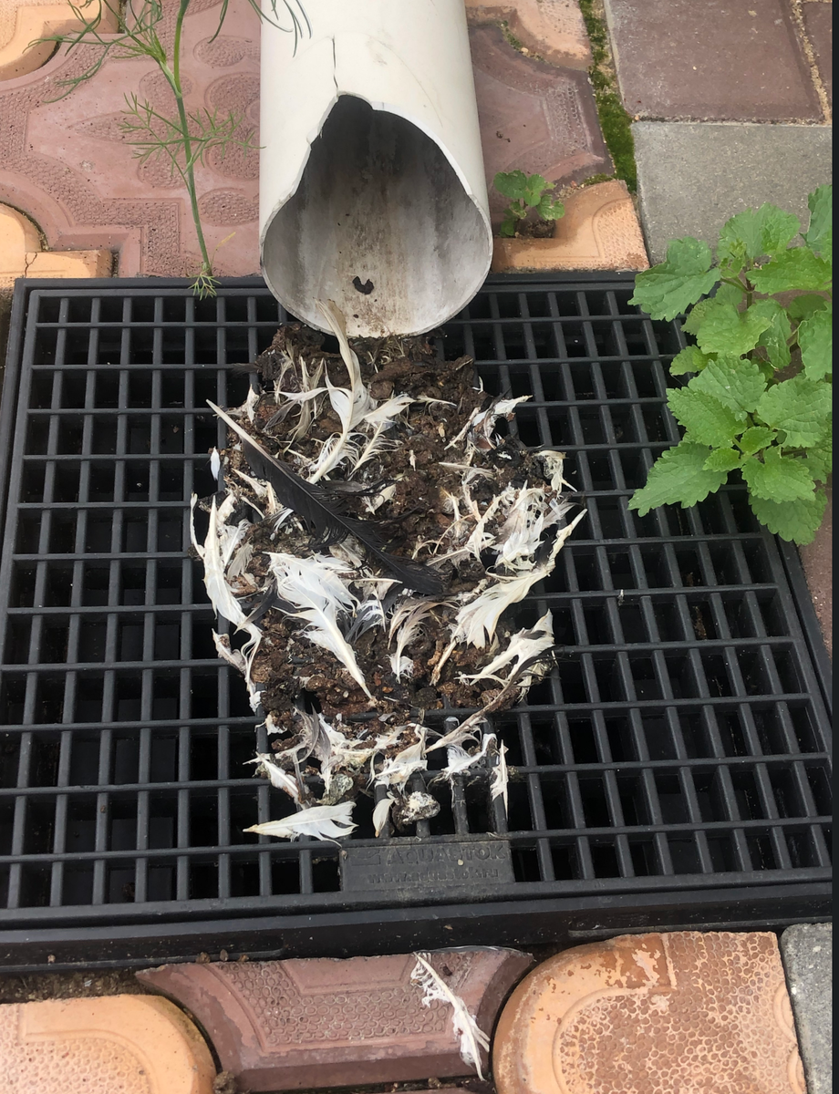 Ежедневная грязь