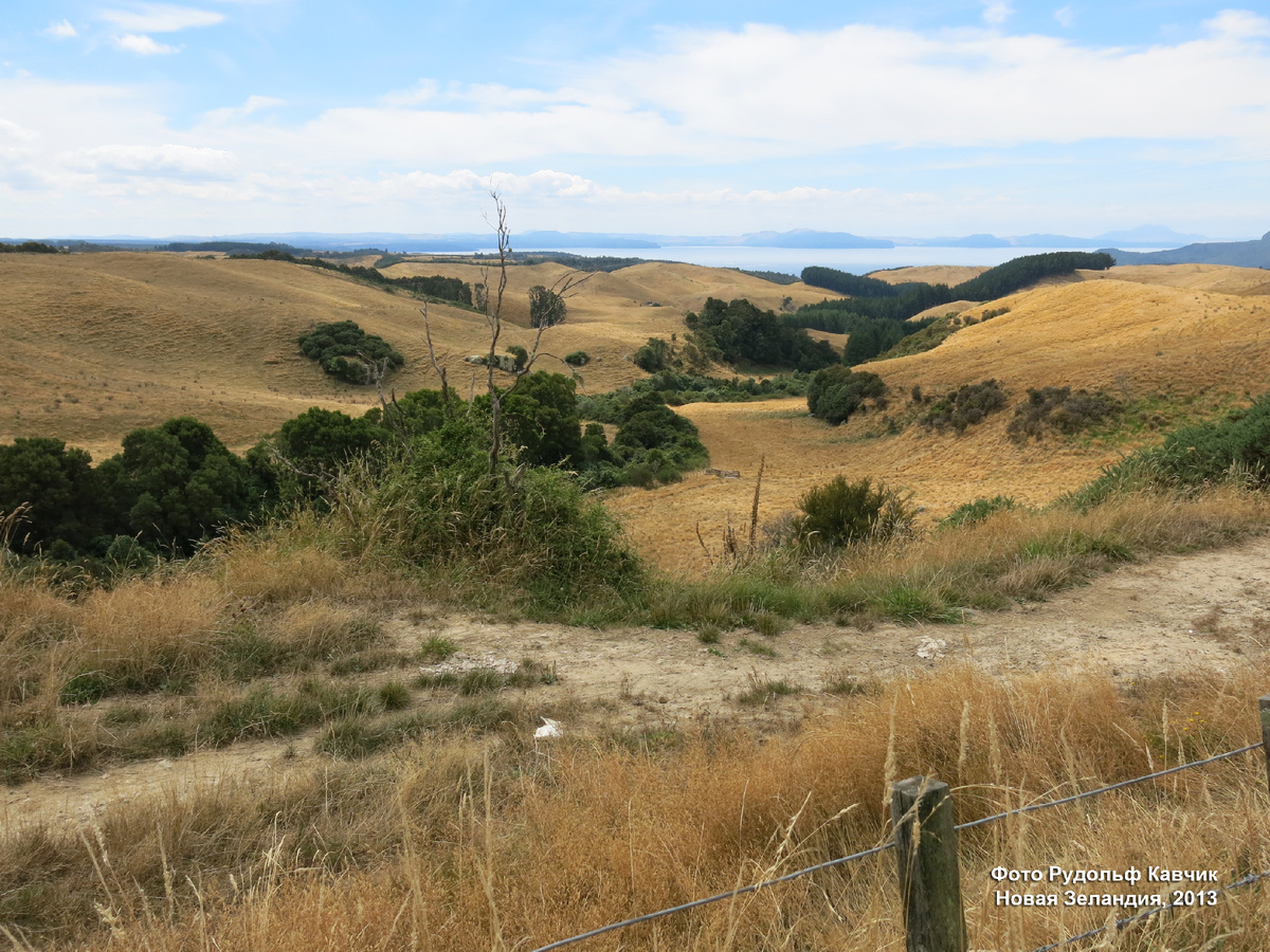 Холмы Новой Зеландии. Фото Рудольф Кавчик