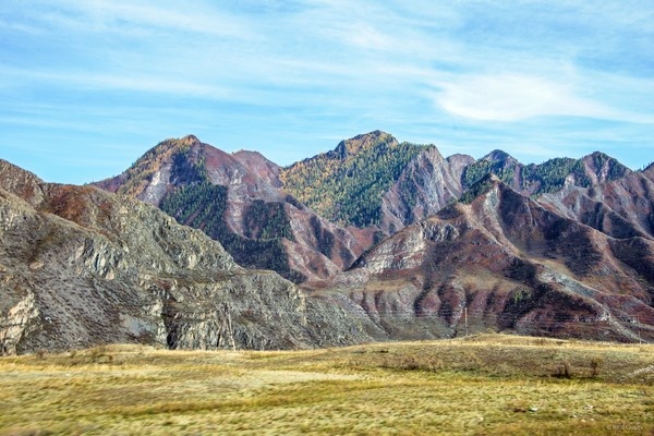 Просто смотришь в окно на бесконечную смену сюжетов и наслаждаешься осенью  ...   

Чуйский тракт, Алтай ...   

  