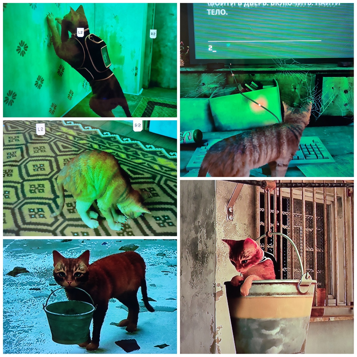 На фото обработанные мной скрины из игры "Stray", 2020г., разработчик BlueTwelve Studio, издатель Annapurna Interactive. Скрины собраны в коллаж, который демонстрирует общий визуальный фон игры и описываемые в статье факты, для визуального ознакомления, а так же для оценки плюсов и минусов в этом направлении. Подробнее об игре рассказано ниже в статье. Все материалы размещены исключительно в информационных целях.