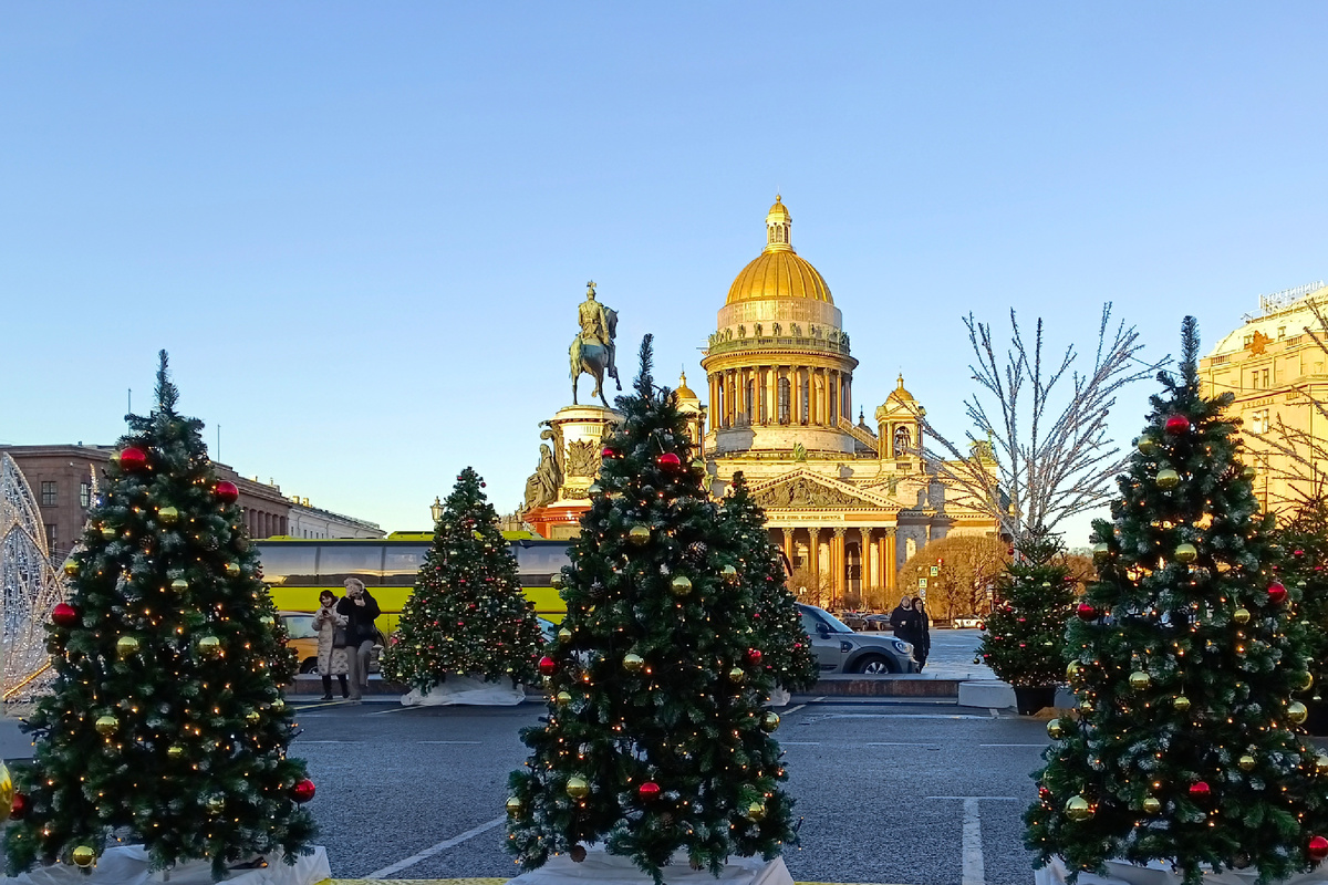 Новогодние елки на фоне Исаакиевского собора, январь 2025 года