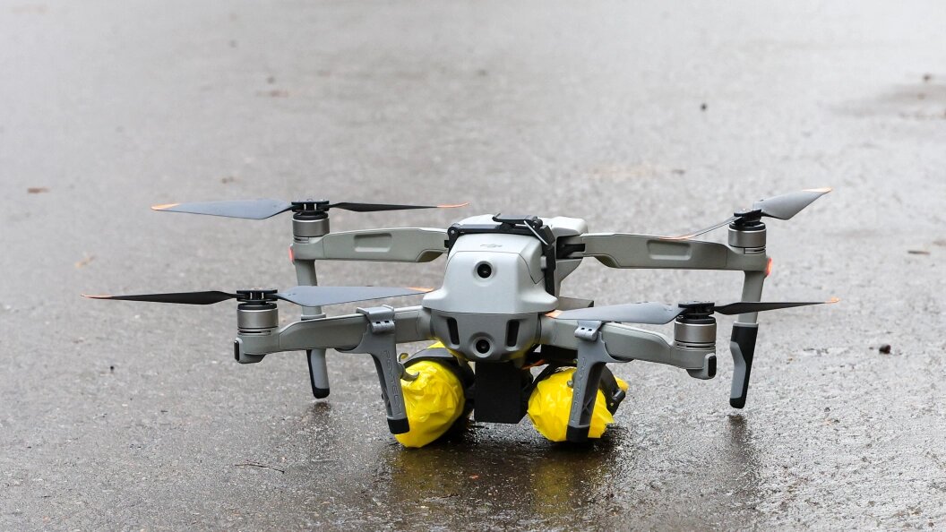    Фото: Shatokhina Natalia/Globallookpress.