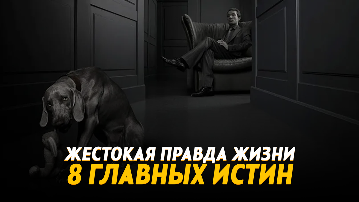 Жестокая правда жизни