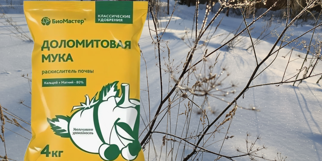 Ещё не поздно! Доломитовую муку можно вносить до снега — когда, сколько и как сделать без ошибок