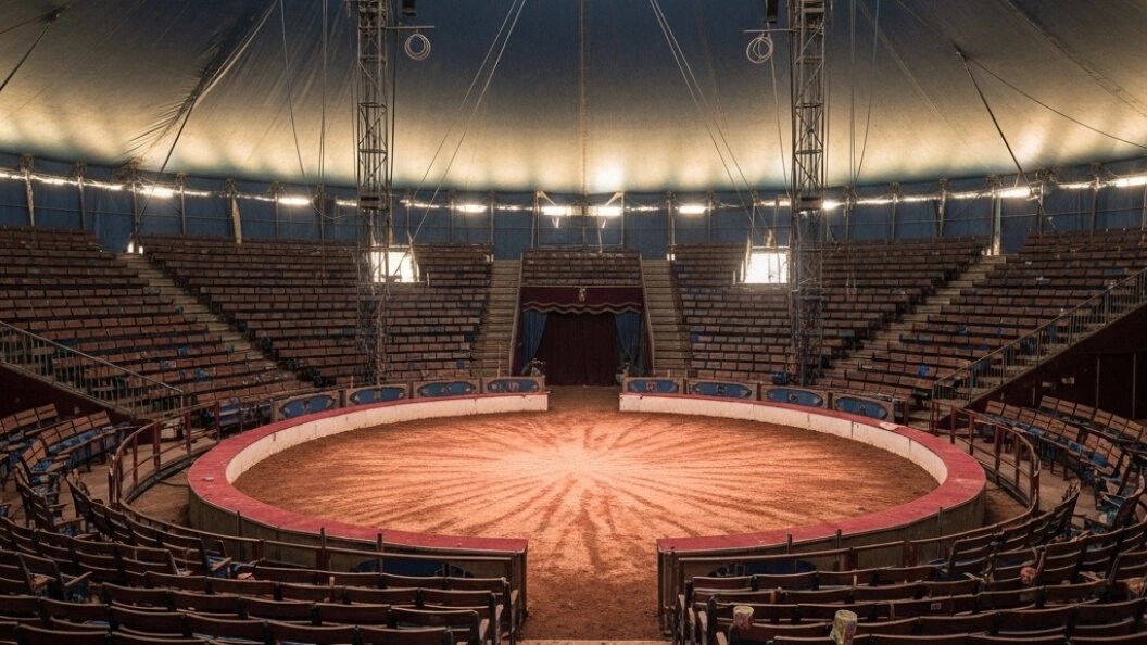    Фото: Коллаж Царьграда