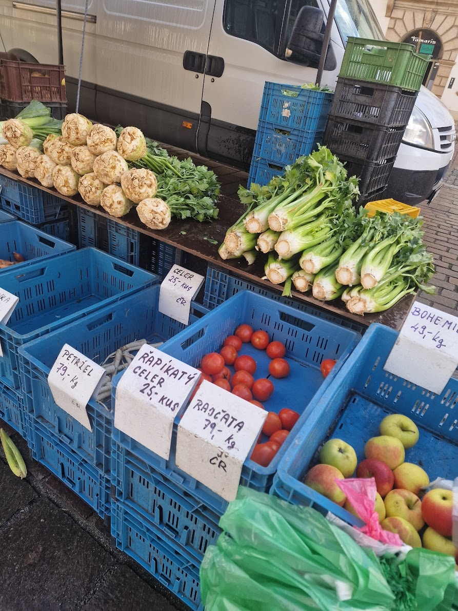 фото автора: овощи)