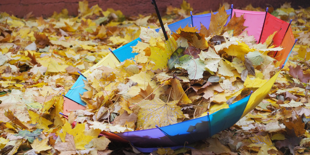 Осень в городе