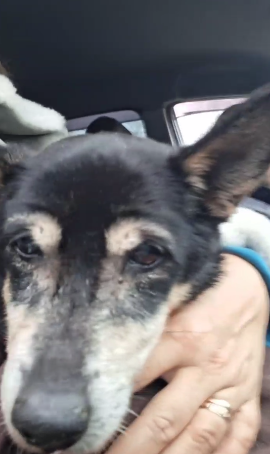 Старушка Чупа