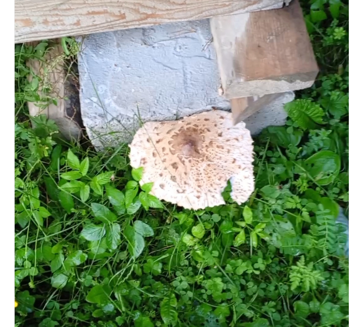 Фото авторов