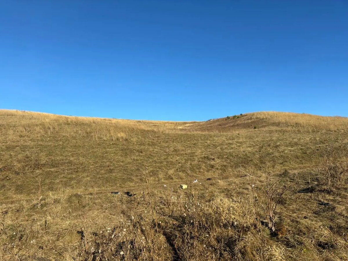    Фото: пресс-служба ГСУ СК России по Красноярскому краю и Республике Хакасия