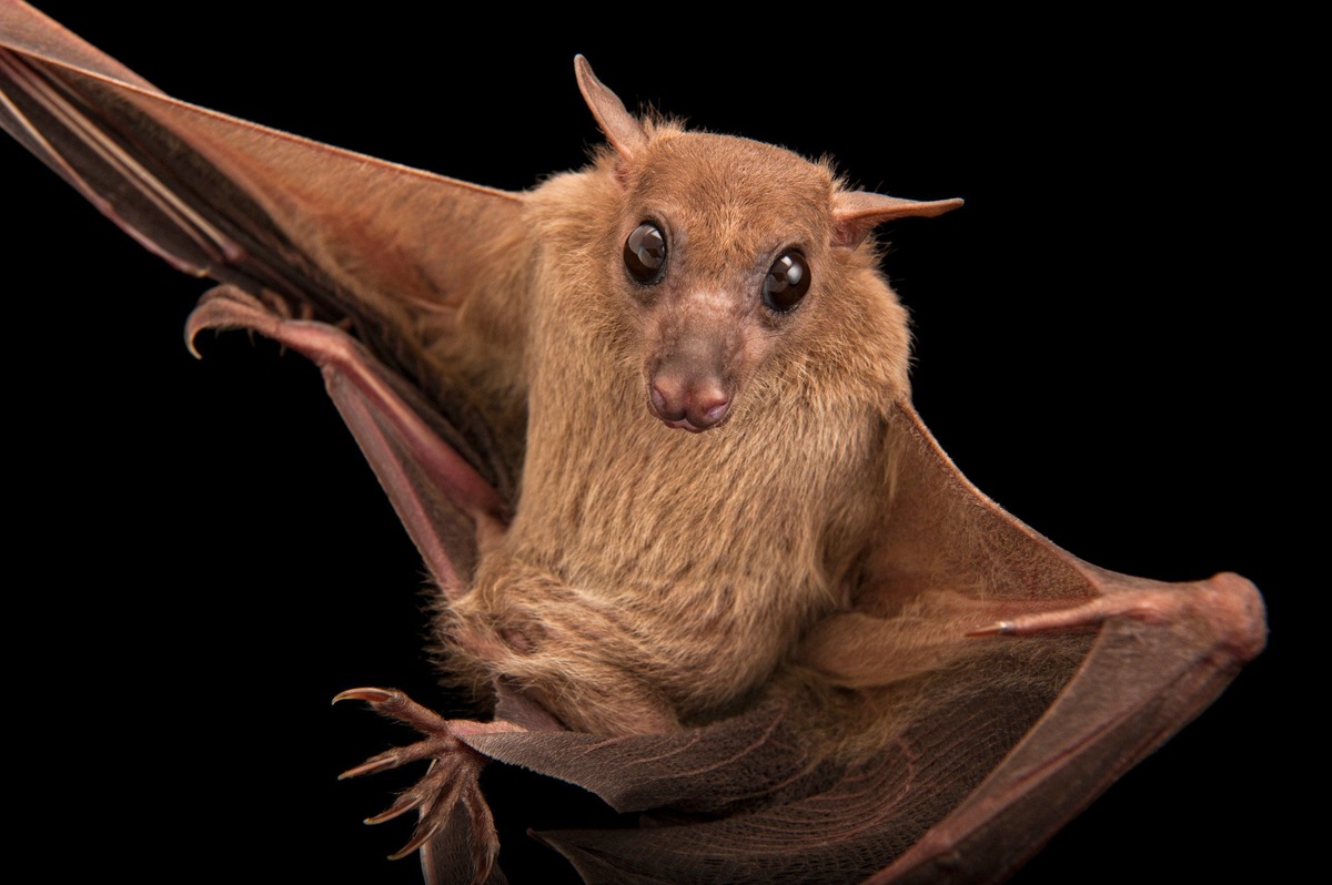 Фотография из интернета