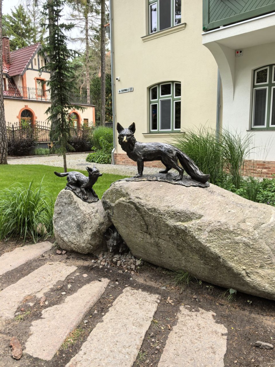 фото автоа Калининград