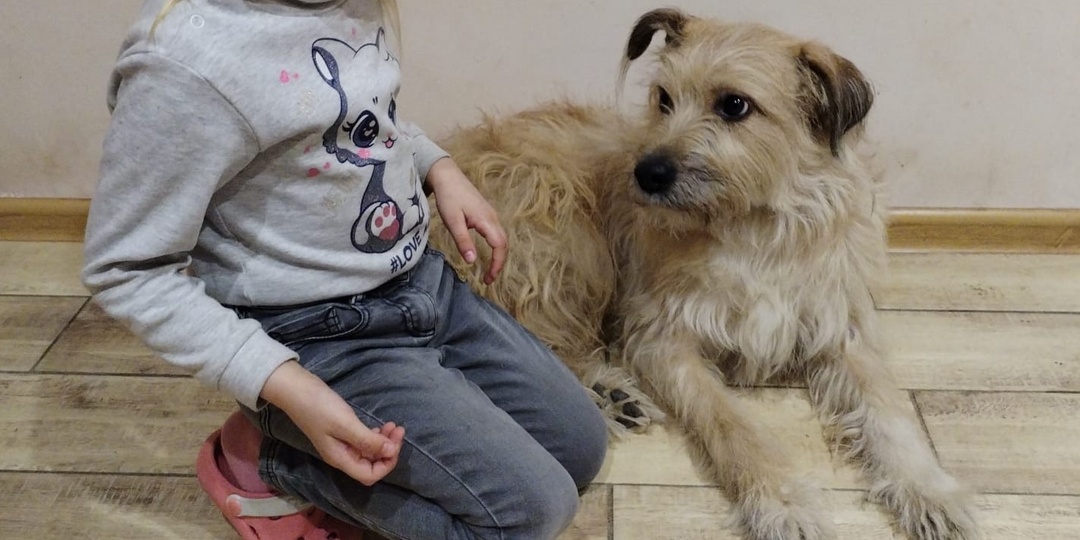 Внимание! Уже больше 2-х лет Малыш ждет свою семью! 💔