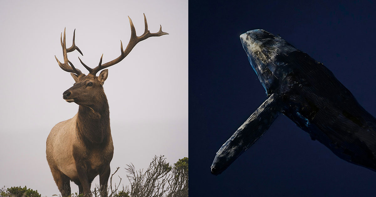 Y S & Seiji Seiji / Unsplash