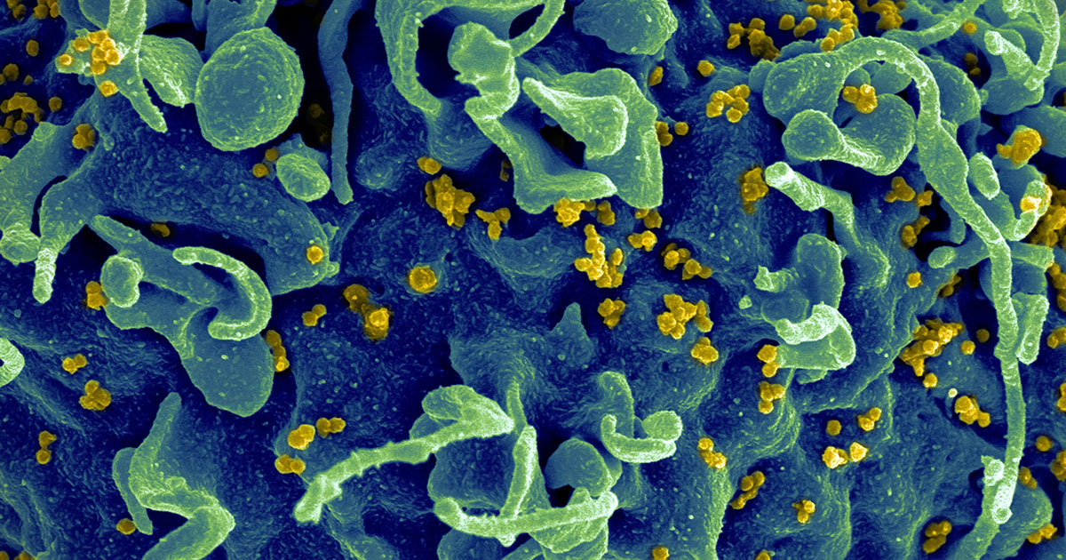 National Cancer Institute / Unsplash