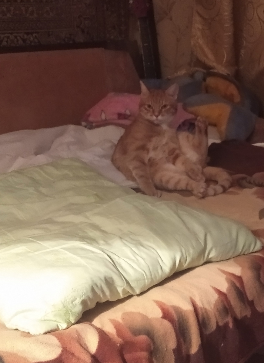 Личное фото